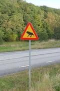 Moose warning sign for motorists