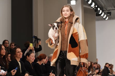 Model Gigi Hadid walks the runway with a dog in Milan.