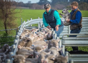 Kangaroo Island farmers Andrew and Bec Bennett at Stony Creek farm