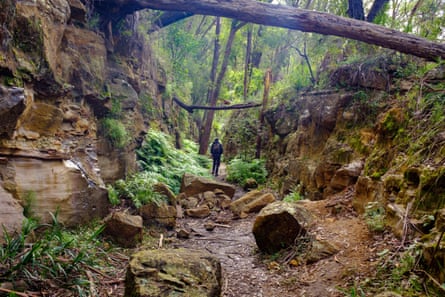 Pejalan kaki melewati jalan pintas di jalur trem bekas di jalur pejalan kaki Box Vale Mittagong, Australia