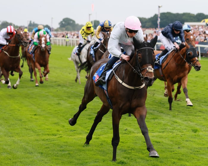 Ethical Diamond’s Melbourne Cup absence shows drawbacks of micro-managing risk