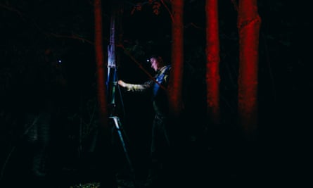 An operator sets the drone antenna in the treeline.