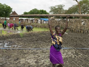 Nyareek Biel, 30, moves the wires used to guide where rice should be planted.