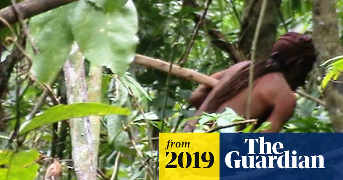 Bolsonaro Pick For Funai Agency Horrifies Indigenous Leaders Brazil The Guardian