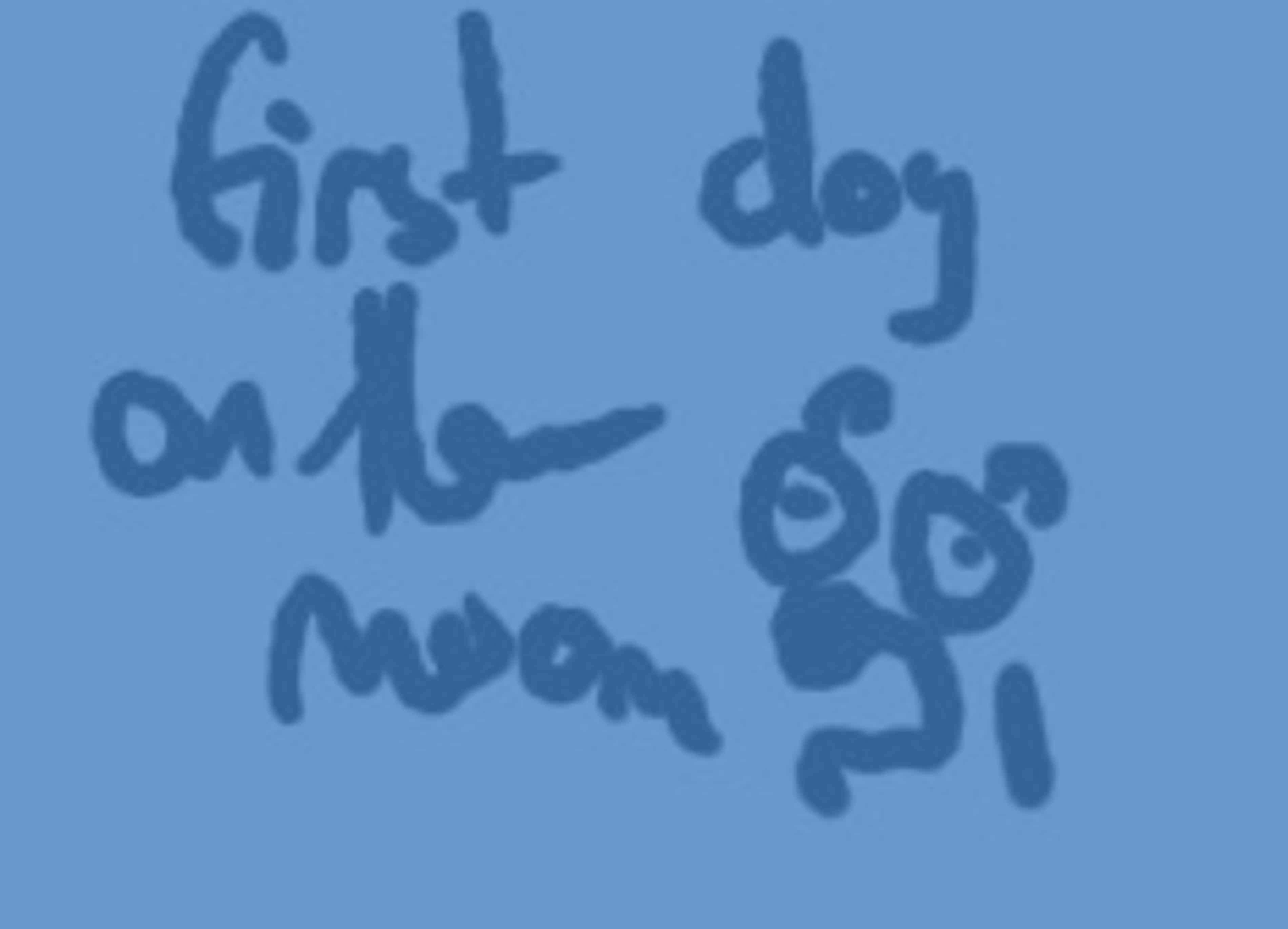 Post image 7