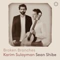 PTC5187031-Broken-Branches-Sean-Shibe-Karim-Sulayman-couverture