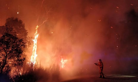 A firefighter battles a bushfire in Peregian Springs on the Sunshine Coast, Queensland. There are 80 fires burning across southern Queensland.
