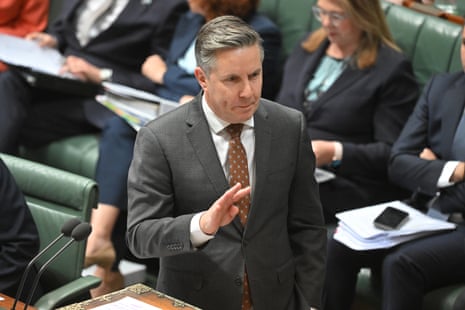 Minister for health, Mark Butler.
