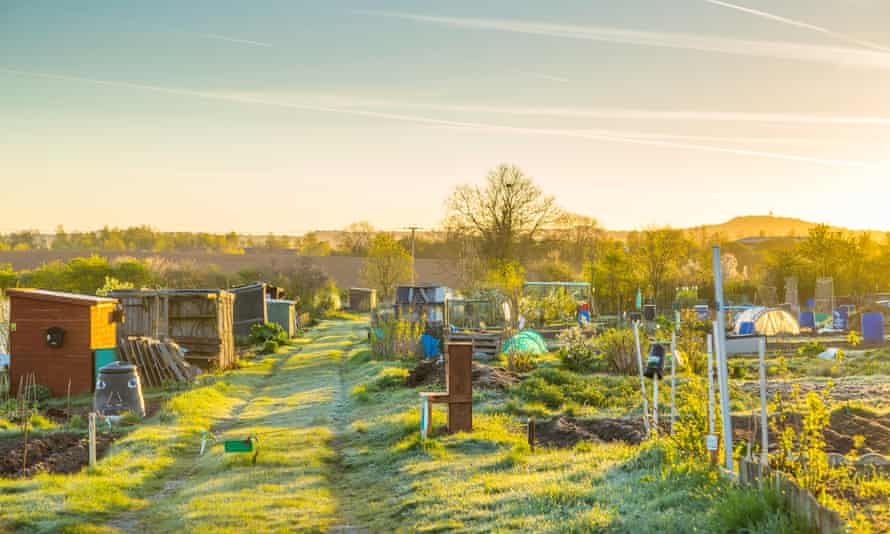 An allotment