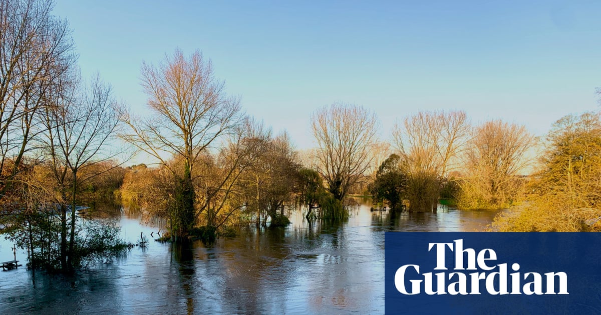 Country diary: The river has risen to meet the trees. This is Storm Claudia’s work | Flooding Country diary: The river has risen to meet the trees. This is Storm Claudia’s work | Flooding