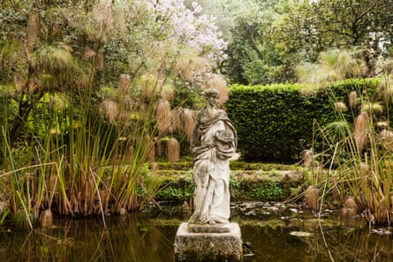 France, Menton, Serre de la Madone garden, nymph in the pond and Cyperus papyrus.