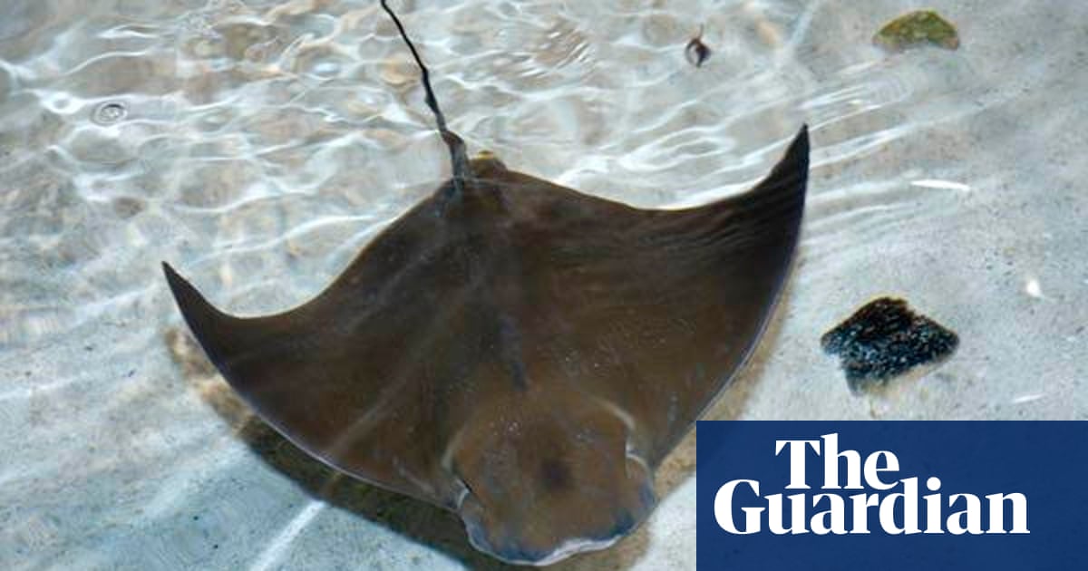 What Happens When The Research Underpinning Conservation Is Wrong research underpinning conservation