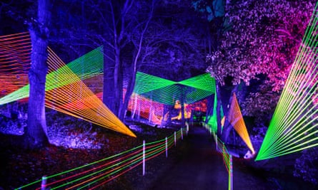 Bedgebury Neon Strings installation