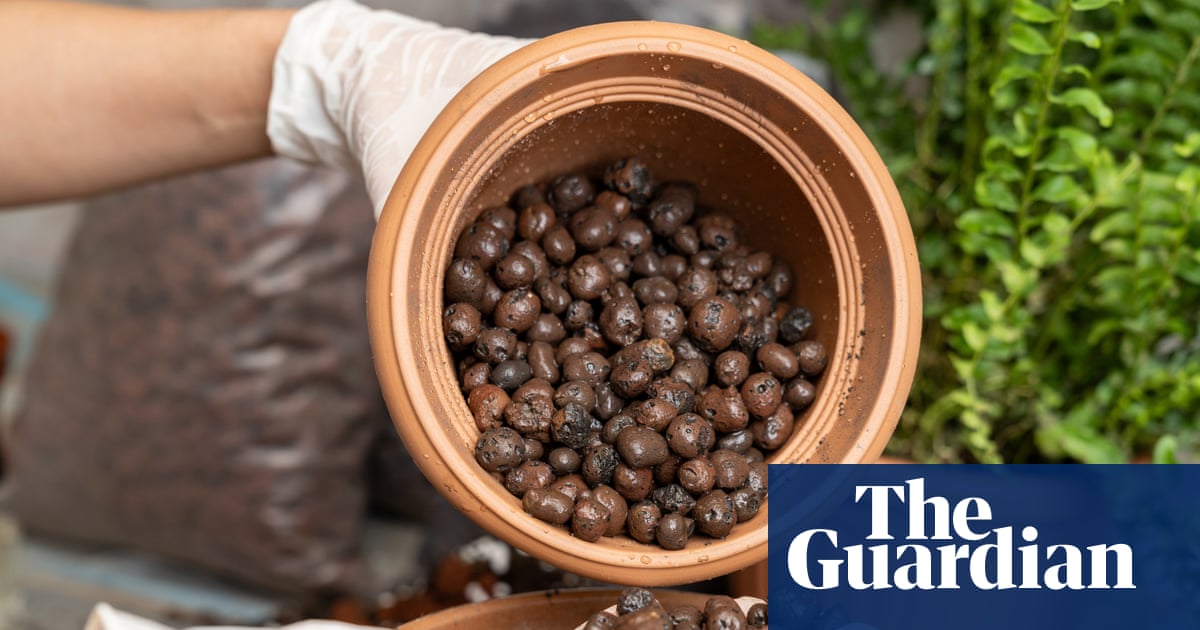 Houseplant hacks: will my plants be healthier if I use Leca balls instead of soil?