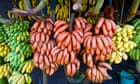 There are more than 1,000 varieties of banana, and we eat one of them. Here’s why that’s absurd | Dan Saladino