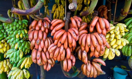 Bananas in Alleppey, India. 