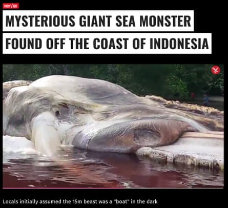 Headline on a video reads "Mysterious giant sea monster found off coast of Indonesia"