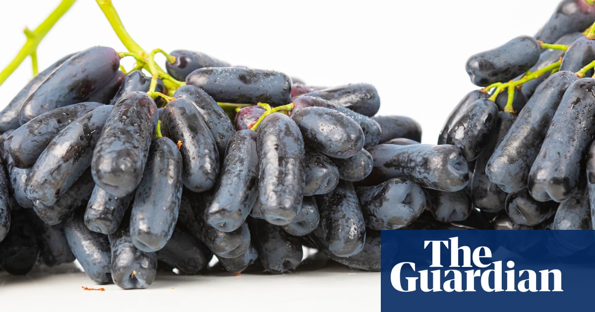 Crispy Dreams and Cotton Candy: why are there so many new kinds of grape?