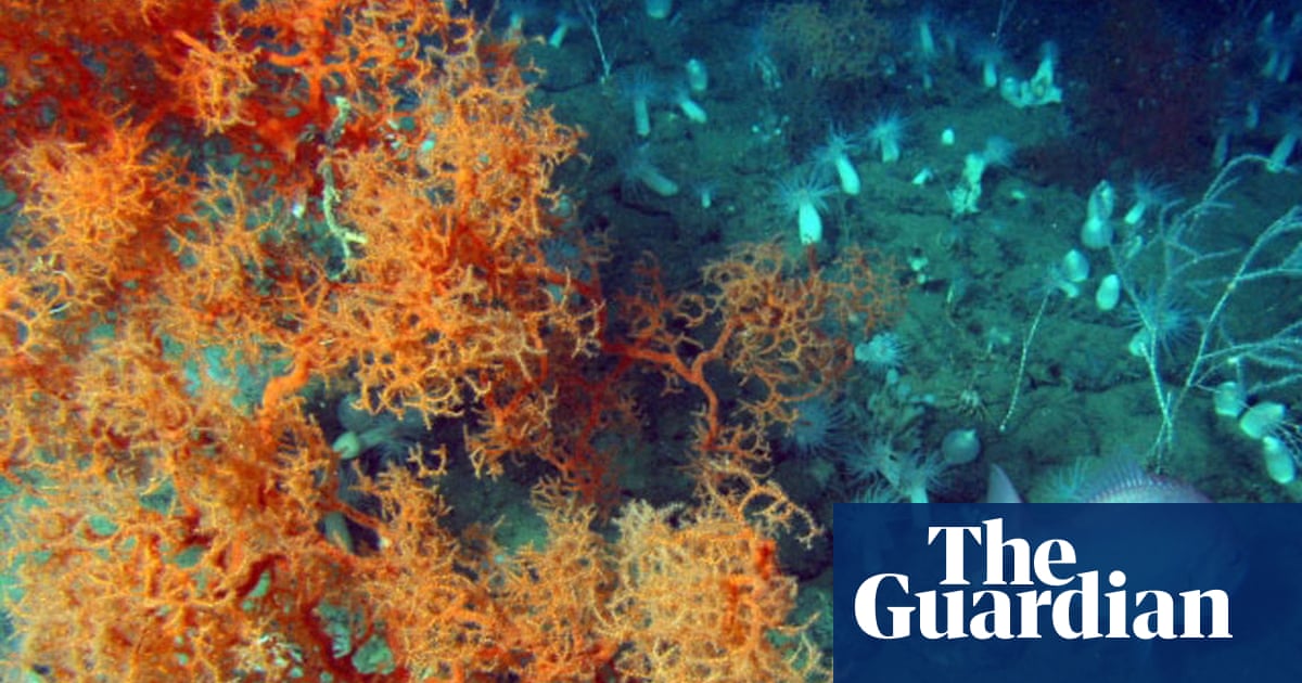 Record freezing temperatures and global warming – let our experts explain featured image