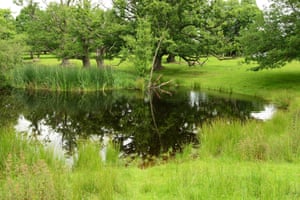 The Lawn Pool last year