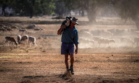 A sheep farm in New South Wales. The drought across the Murray Darling Basin is now officially Australia’s worst on record.