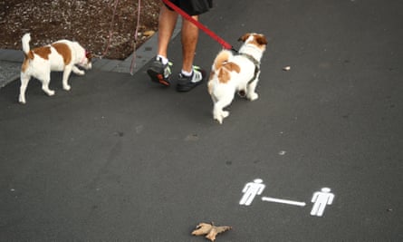 two dogs being walked next to a physical distancing sign