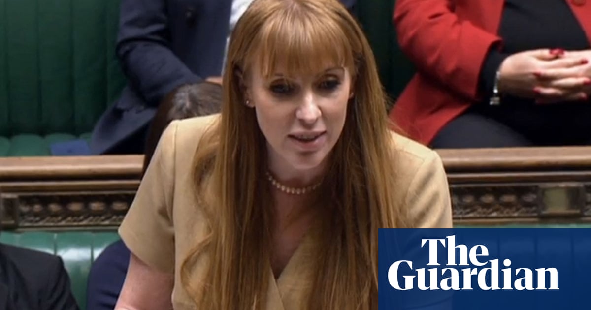 Angela Rayner hits back at claims of ‘Basic Instinct’ tactics to distract PM