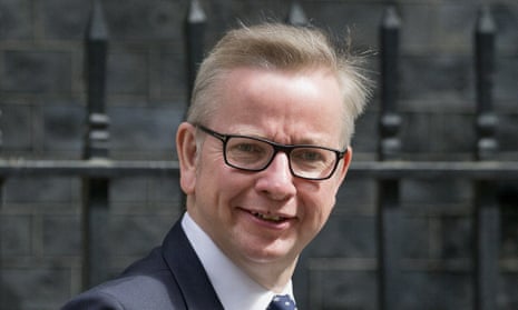 Former justice secretary Michael Gove, who championed problem-solving courts after a visit to Texas last year. 