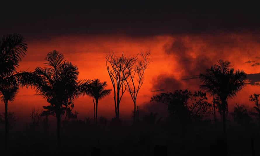 A fumaça sobe de um incêndio ilegal na região amazônica, no estado brasileiro de Mato Grosso.