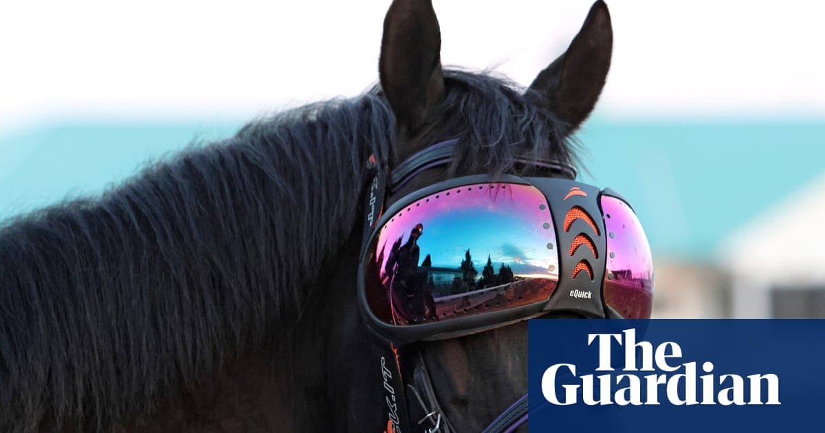 Klammer to see Gold Cup hope Trawlerman after revelation he wears ski goggles
