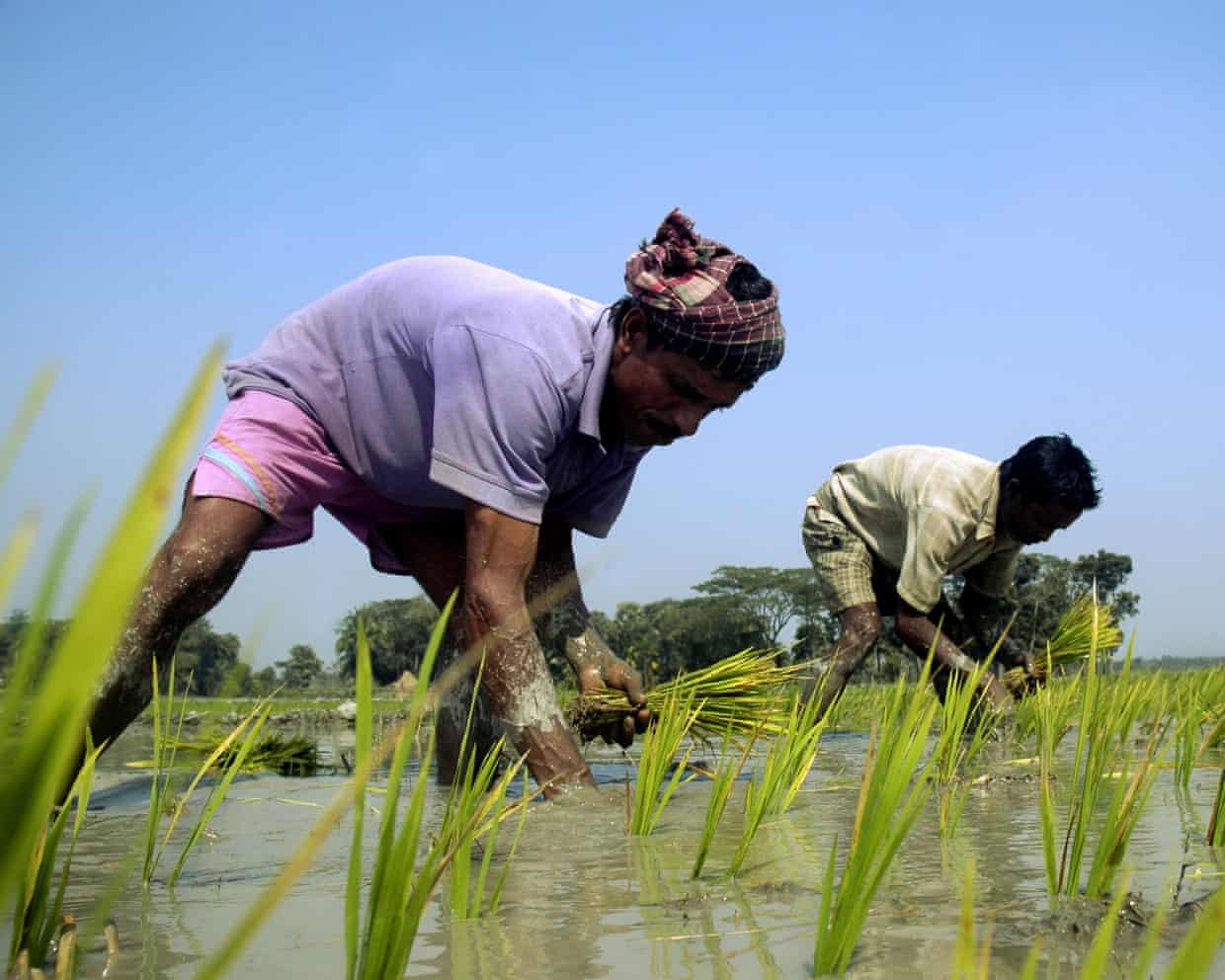 Solo el 3% de la ayuda climática internacional se destina a comunidades en transición: «Esto es absurdo» Solo el 3% de la ayuda climática internacional se destina a comunidades en transición: «Esto es absurdo»
