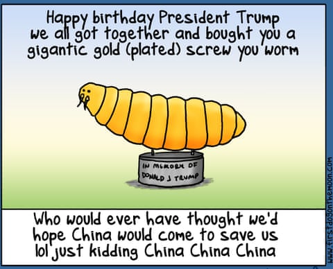 First Dog on the Moon cartoon Trump Birthday, panel 7