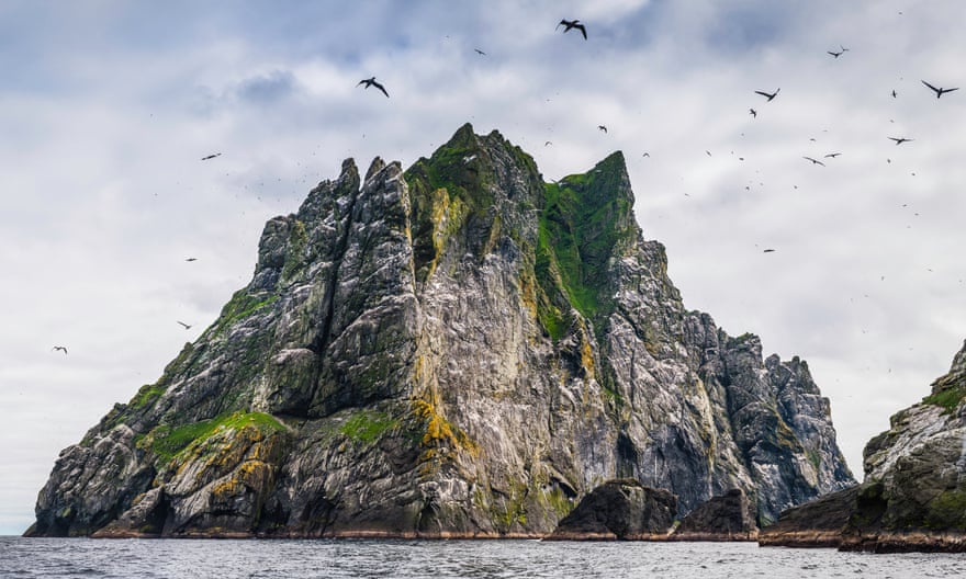 Remote St Kilda is teeming with birdlife.