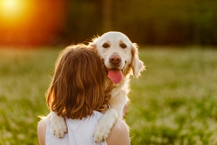 A teenage girl petting golden retriever in the sunshine, with her back to the viewer