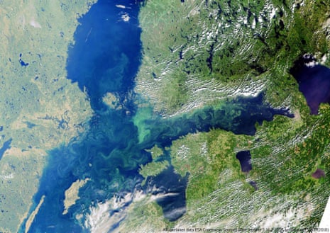 Blue-green algal blooms in the Baltic Sea in 2018.