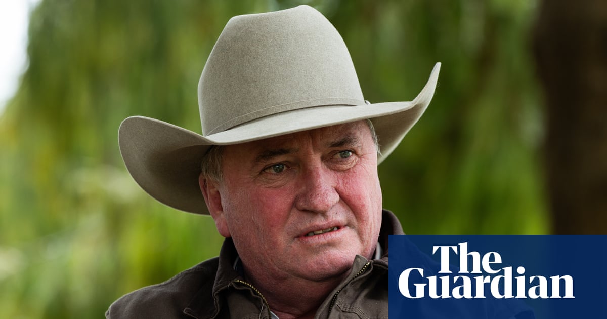 Barnaby Joyce claims One Nation ‘one of the gayest parties in Australia’ as former candidate’s comments surface
