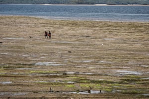 Young boys walk on the beach of Lamu island, near the proposed site for the coal plant.
