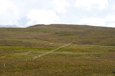 A grassy hillside with a fence running across it