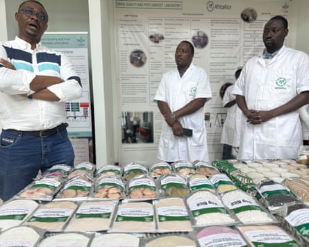 Three scientists at the Africa Rice laboratory