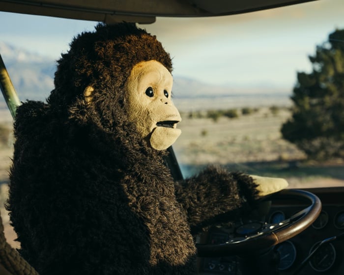 Sunlight review – monkey-suited woman goes on road trip in Nina Conti’s super-quirky directing debut