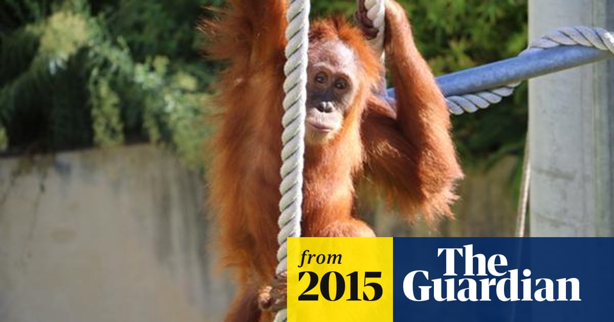 Yo Can We Leave Now Meme By Lonelystacker777 Memedroid