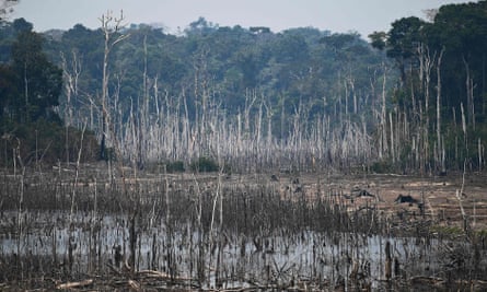 A cleared area of forest in the Amazon basin in Brazil.