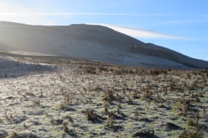 Frosty morning“Perfect start for a walk up Easter Tor. Near Kirknewton in North Northumberland on 21 January.”