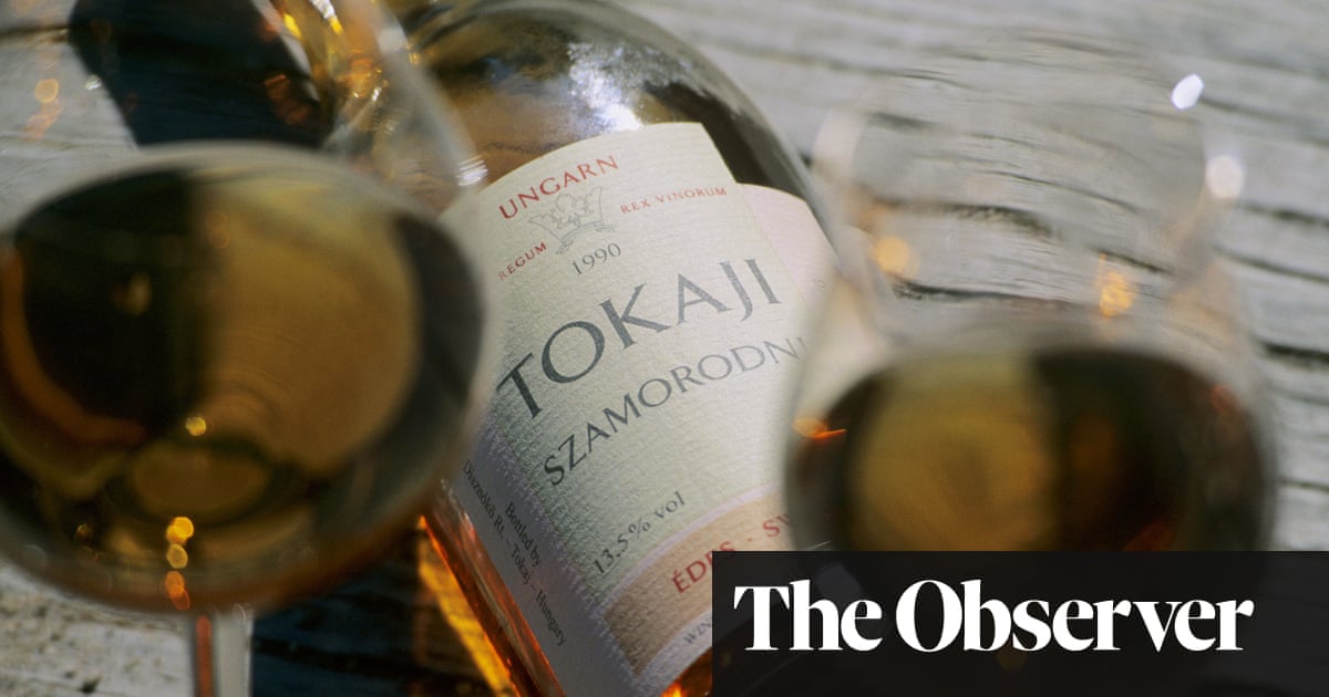 A Hungarian Wine That S Making Waves Food The Guardian
