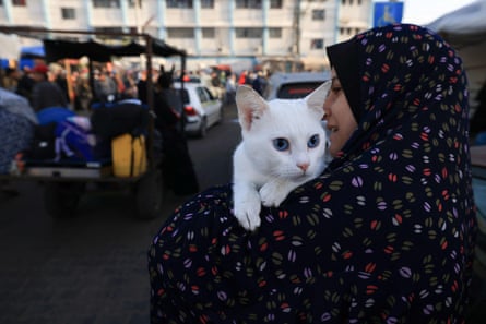 Başörtülü genç bir kadın, mavi gözlü, korkmuş beyaz bir kediyi taşıyor. 