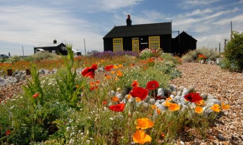 The Untold Story Of Lost Star River Phoenix 25 Years After His