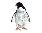 Why can’t penguins fly and why don’t buses have seatbelts? The kids’ quiz