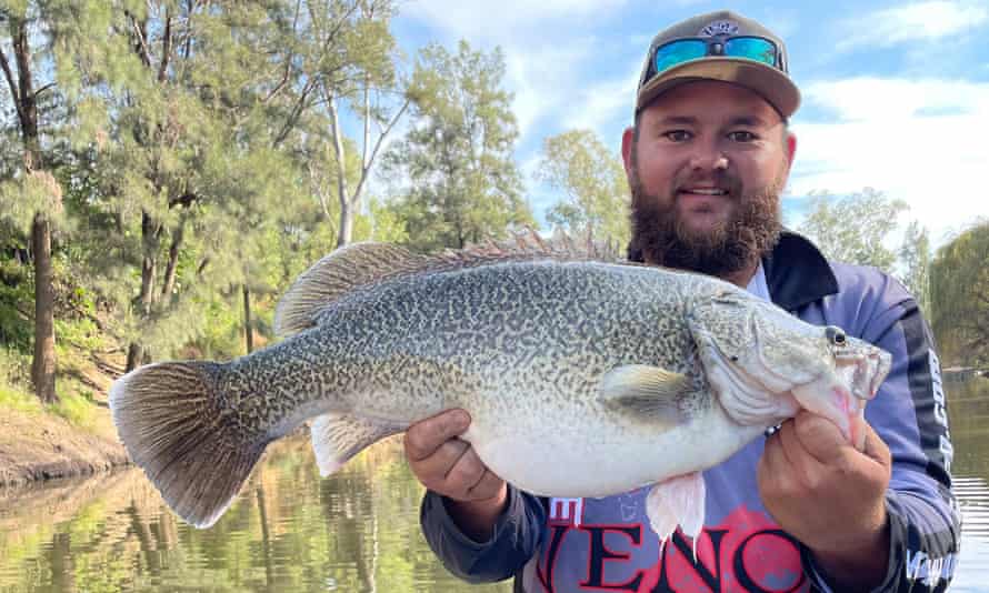 Aaron Graham shows a cod he caught that has been feeding on mice during the mouse plague