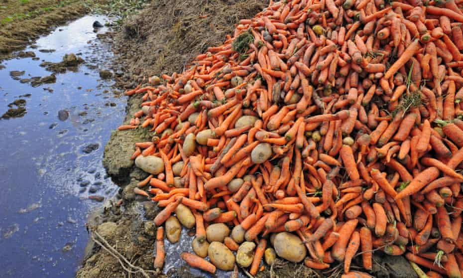 A pile of carrots and potatoes