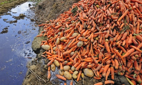 Between 30% and 40% of food produced around the world is never eaten, according to the study. 